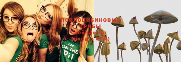 ешки Алзамай
