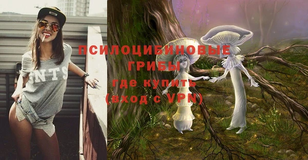 эйфоретик Алексин