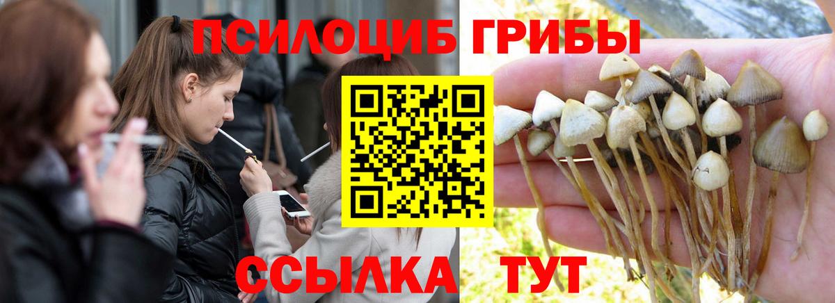 Галлюциногенные грибы GOLDEN TEACHER Тейково